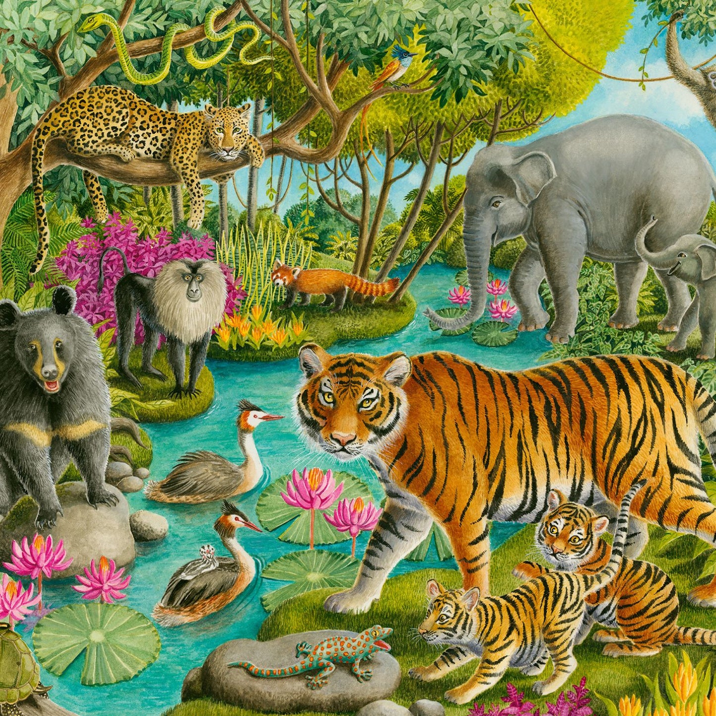 Puzzle 60 piezas Animales de la Selva