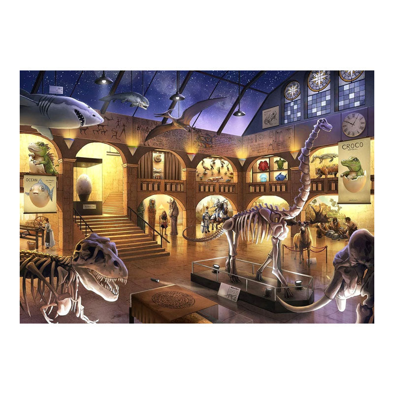 Puzzle En el museo de historia natural - 368 piezas