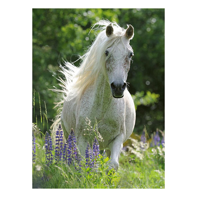 Puzzle XXL Corsel blanco - 100 piezas