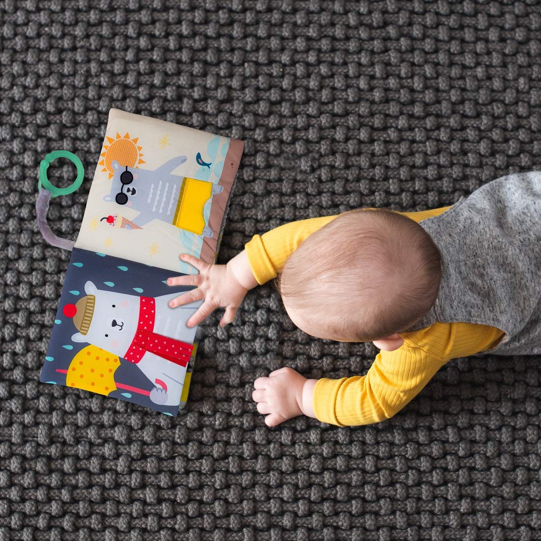 Libro para bebés ¿Qué se pone Paul?