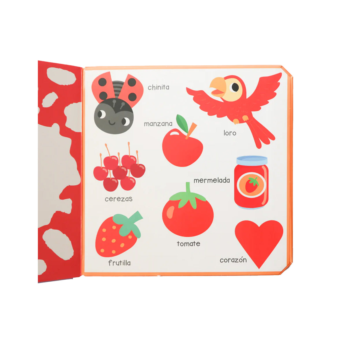 Descubre y aprende - Colores