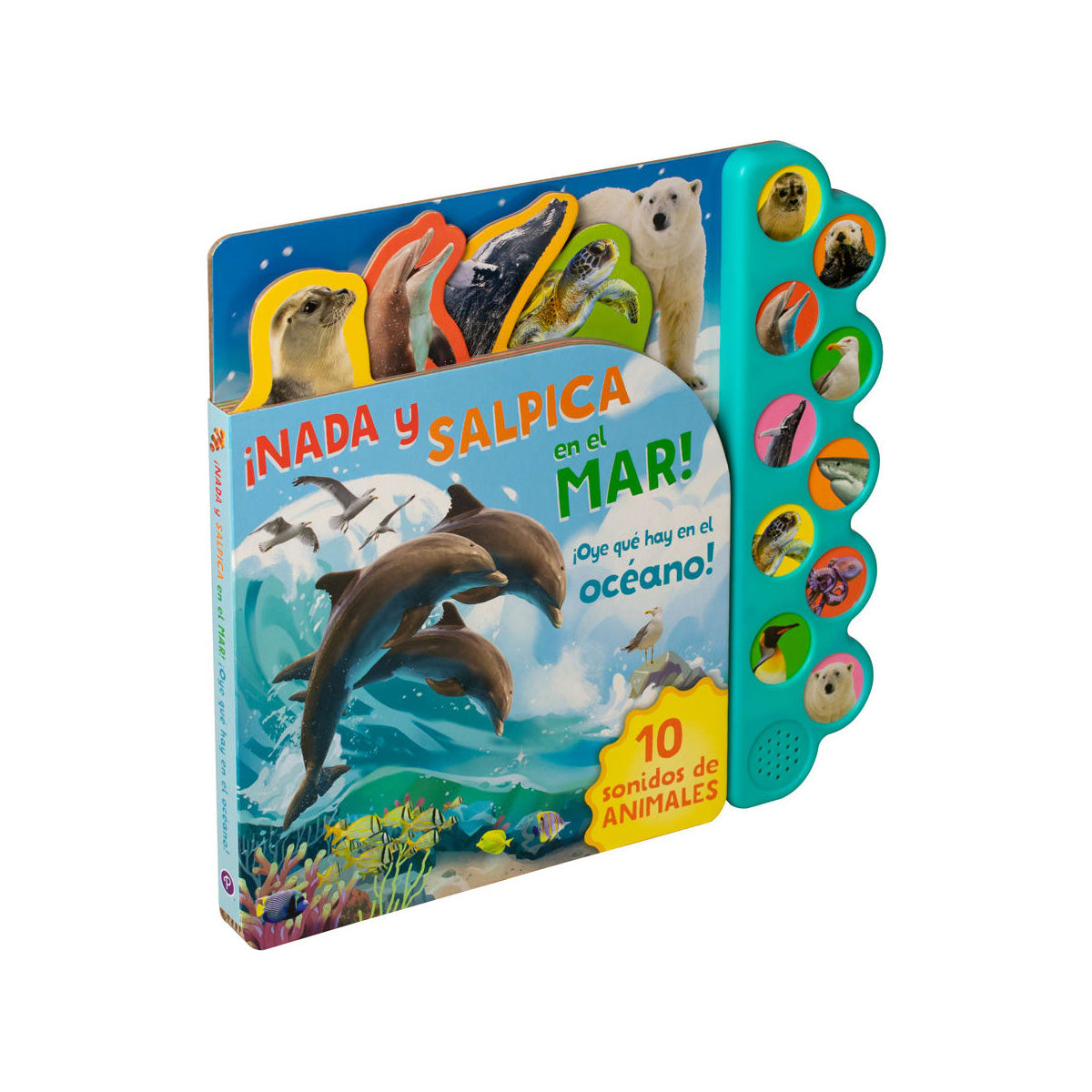 10 Sonidos del Oceano, Nada y Salpica