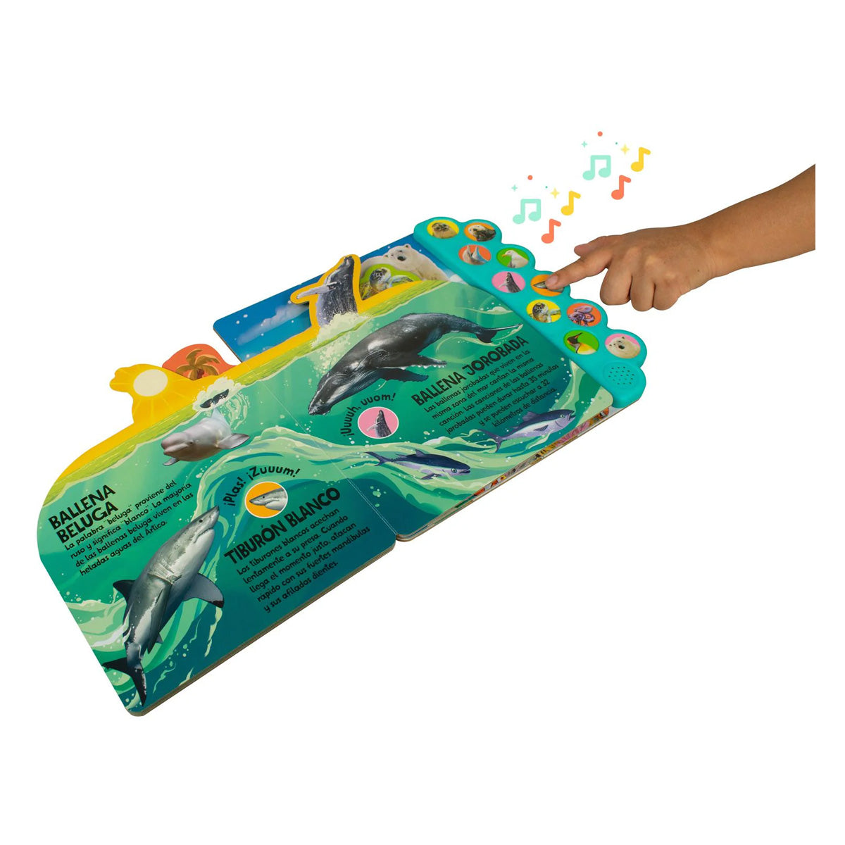 10 Sonidos del Oceano, Nada y Salpica