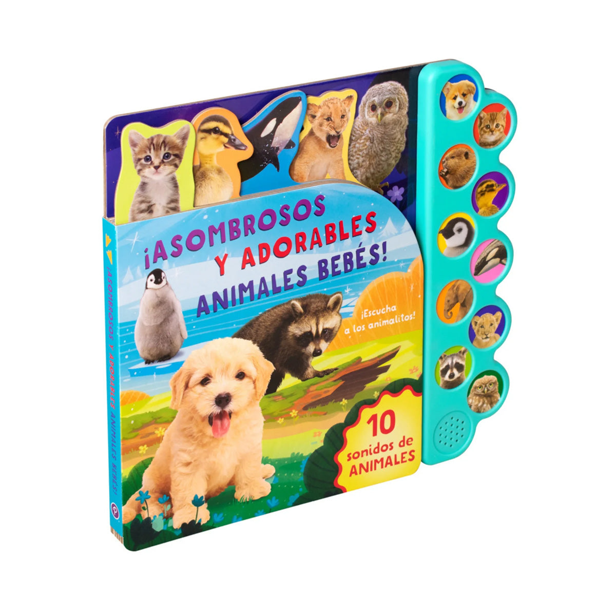 10 Sonidos de Asombrosos y Adorables Animales Bebés
