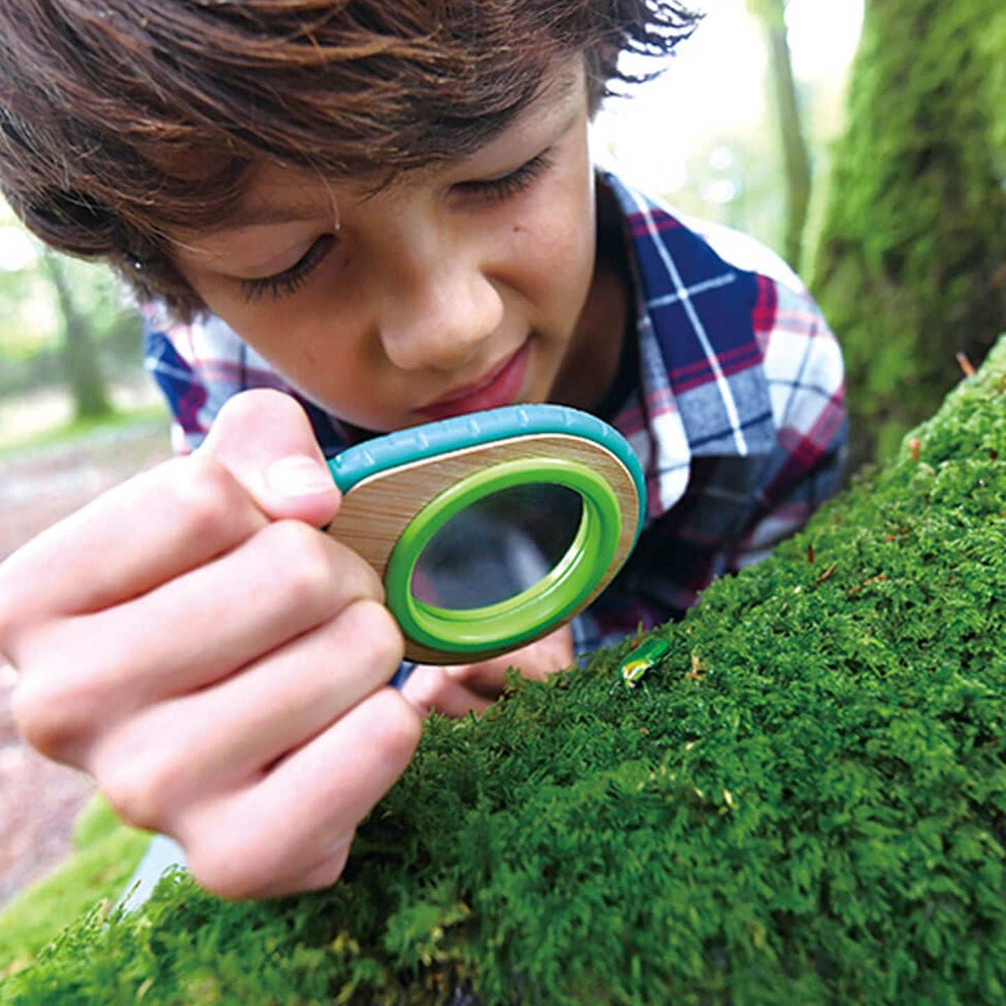 Set Detective Naturaleza