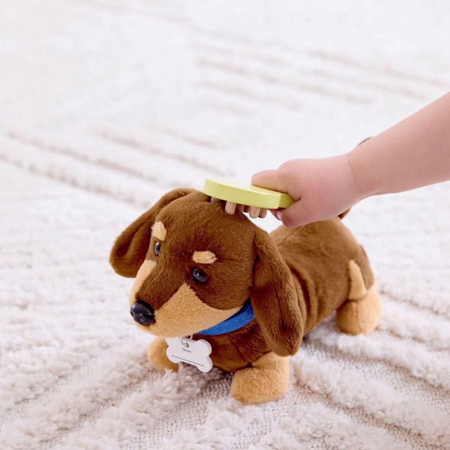 Set veterinario cachorrito