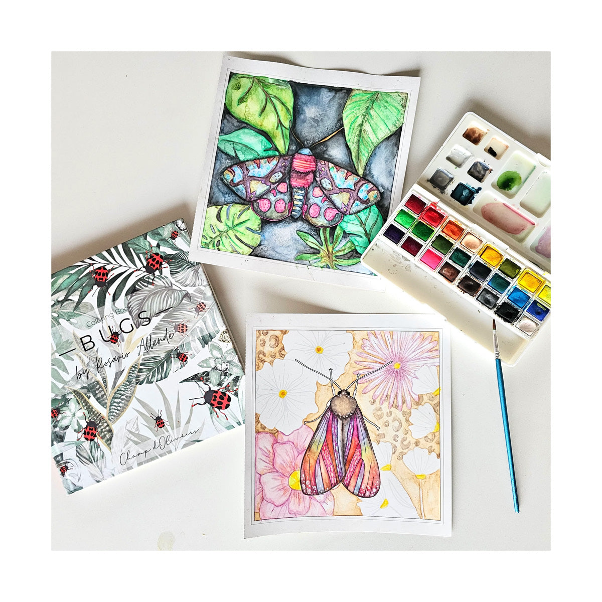 Bugs - libro para pintar