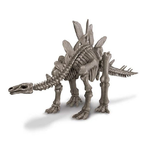 Dinosaurio Stegosaurus Excava