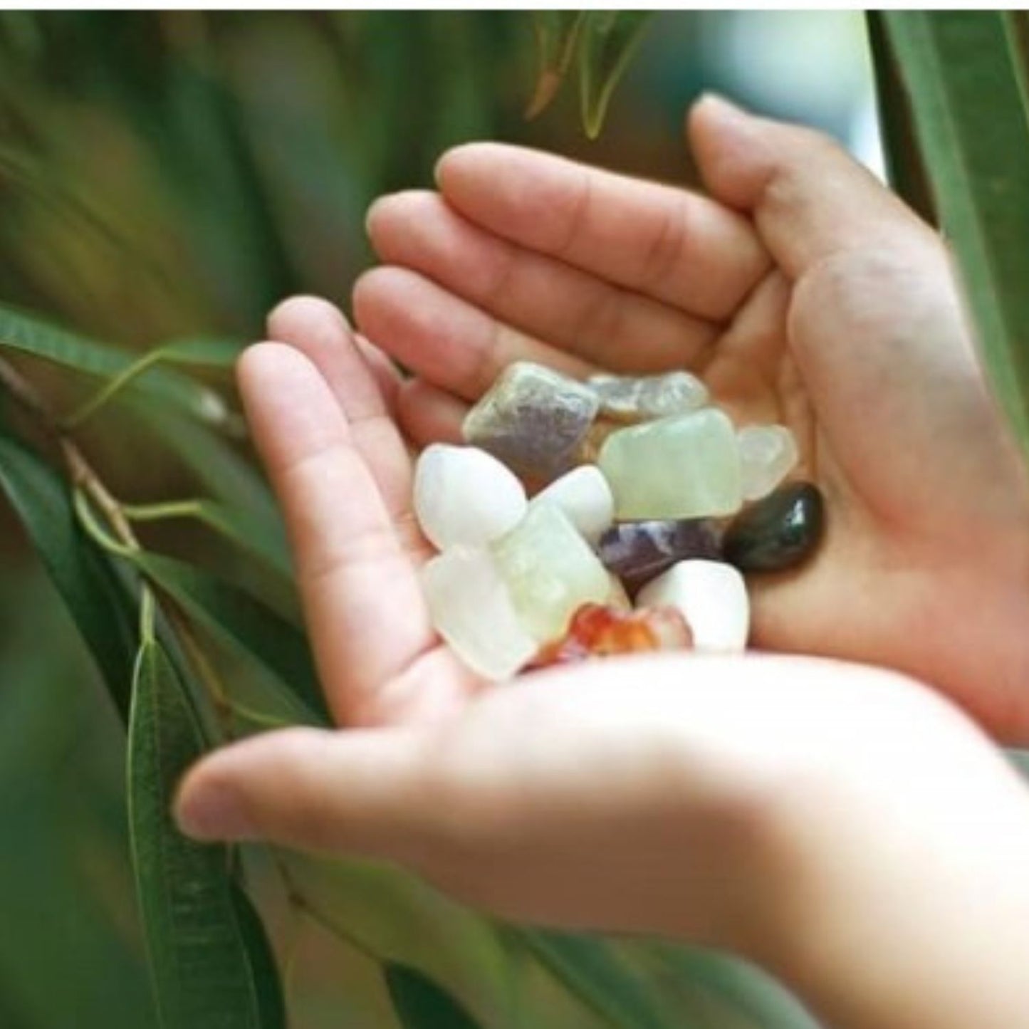 Ciencias Excava Cristales