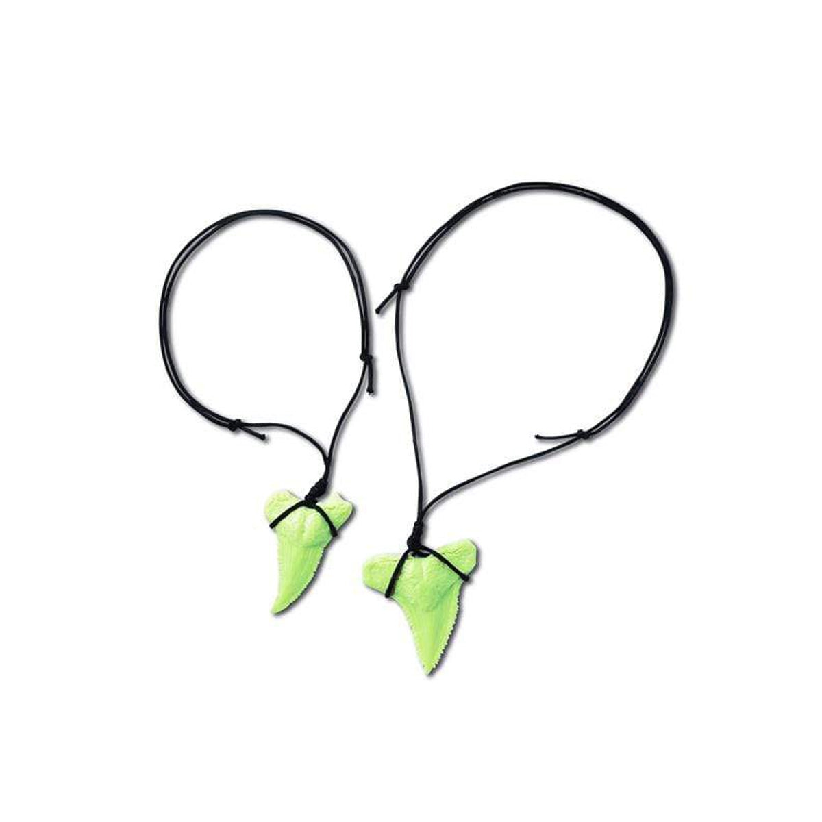 Excava Dientes de Tiburon