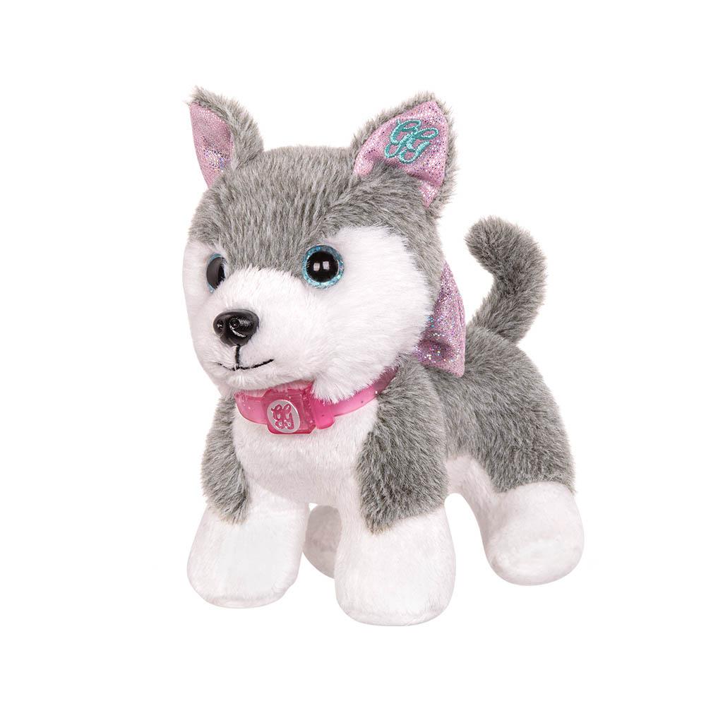 Mascota Perro husky Alaska
