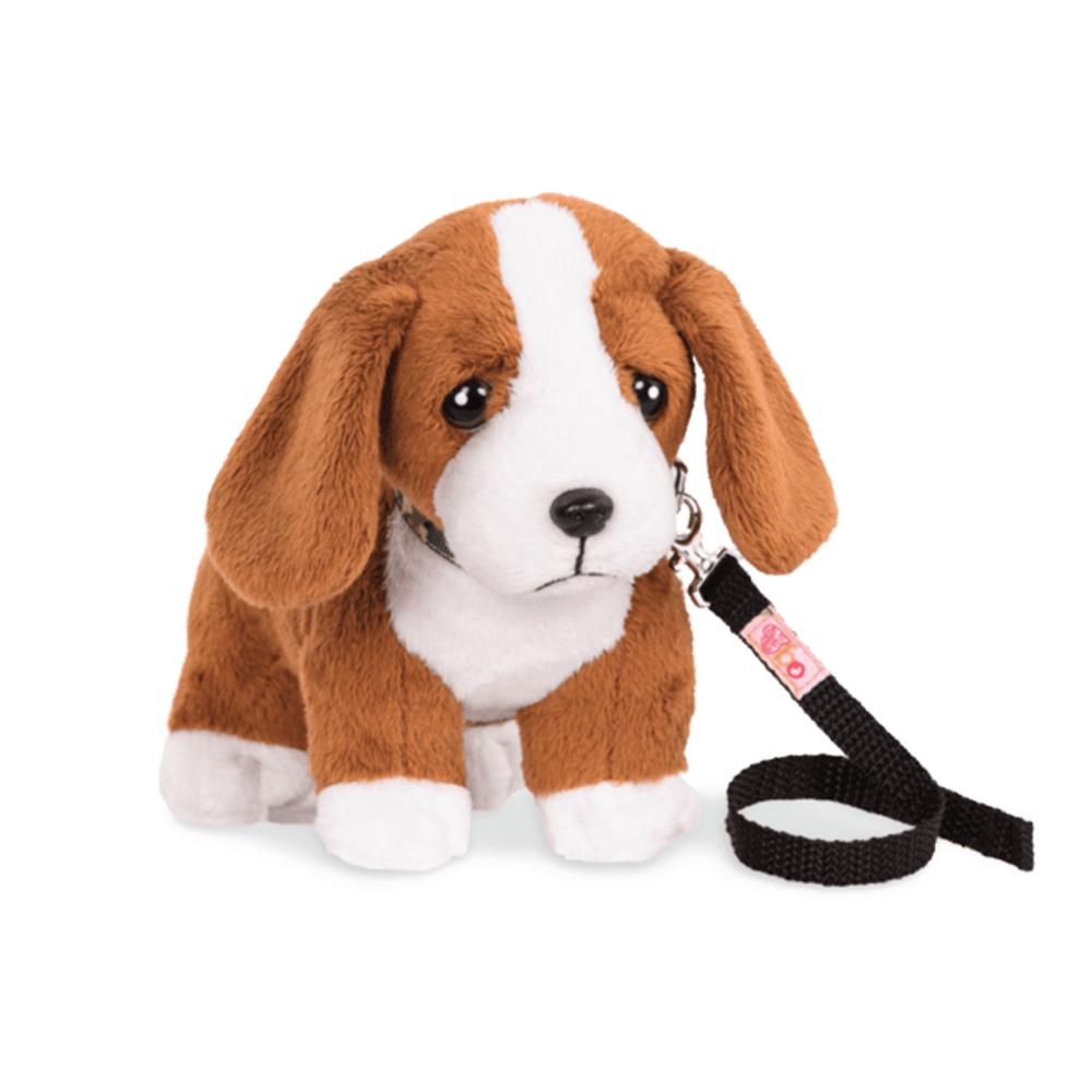 Cachorro Basset Hound