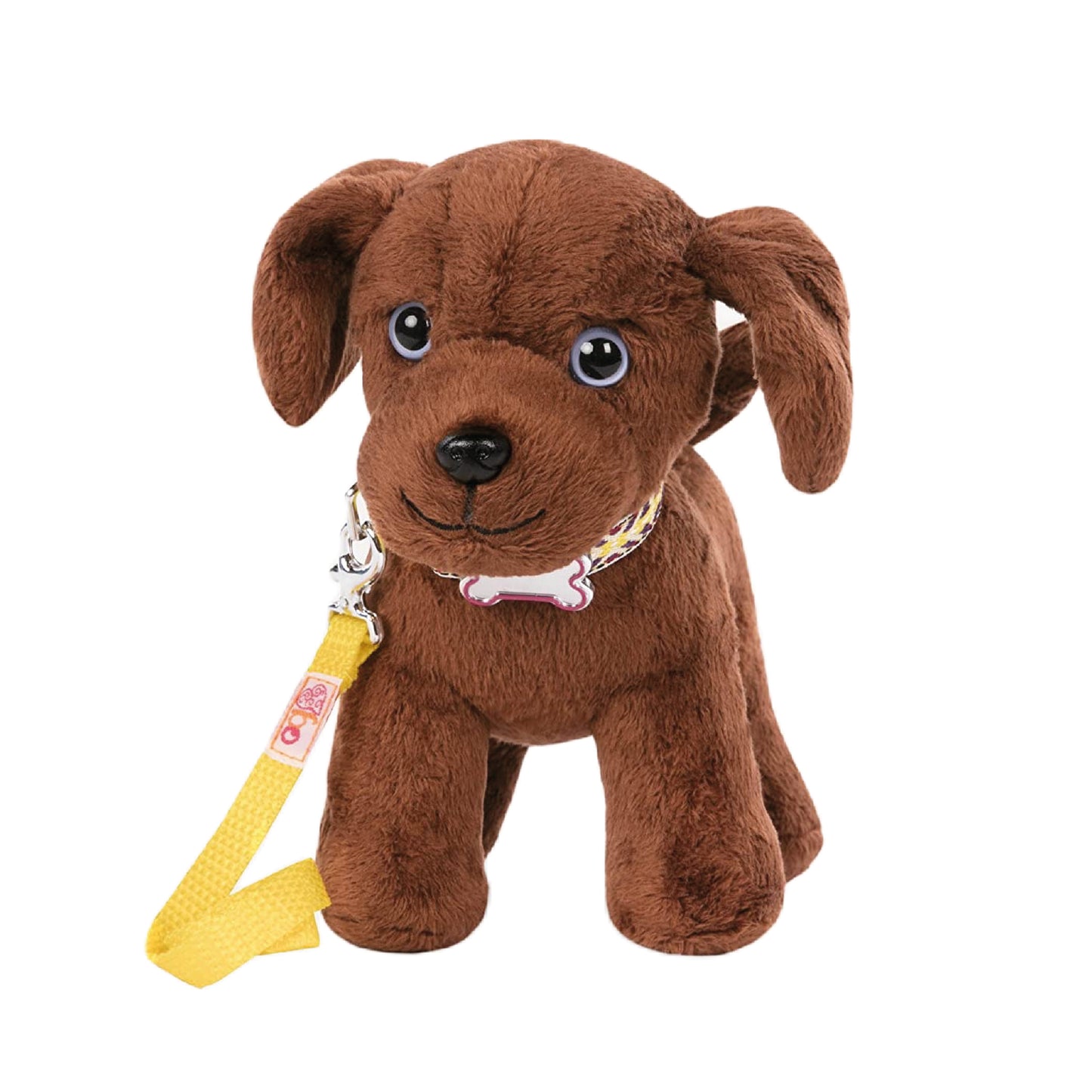 Cachorro Labrador