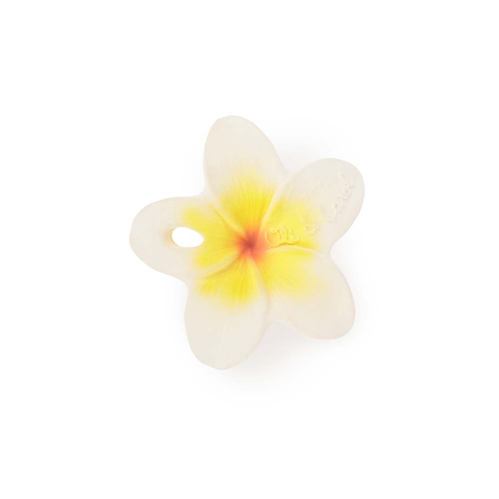 Mordedor Flor Hawaii