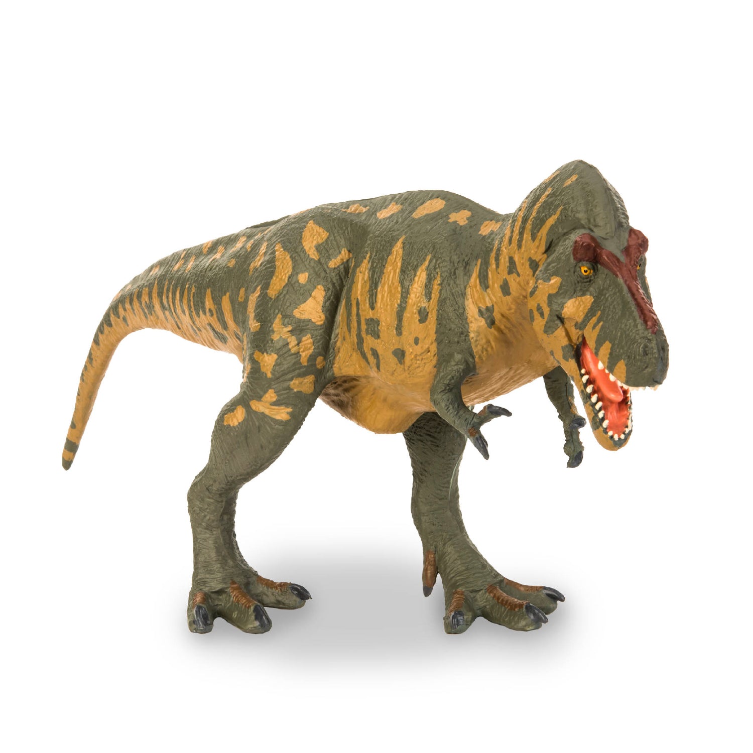 Tyrannosaurus Rex - grande