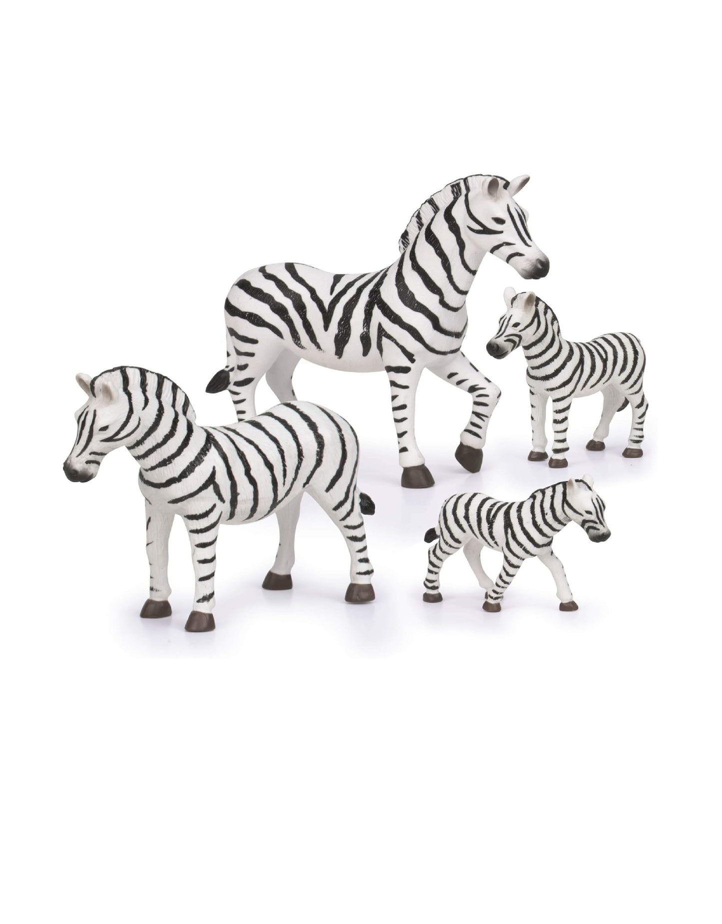 Familia de zebras