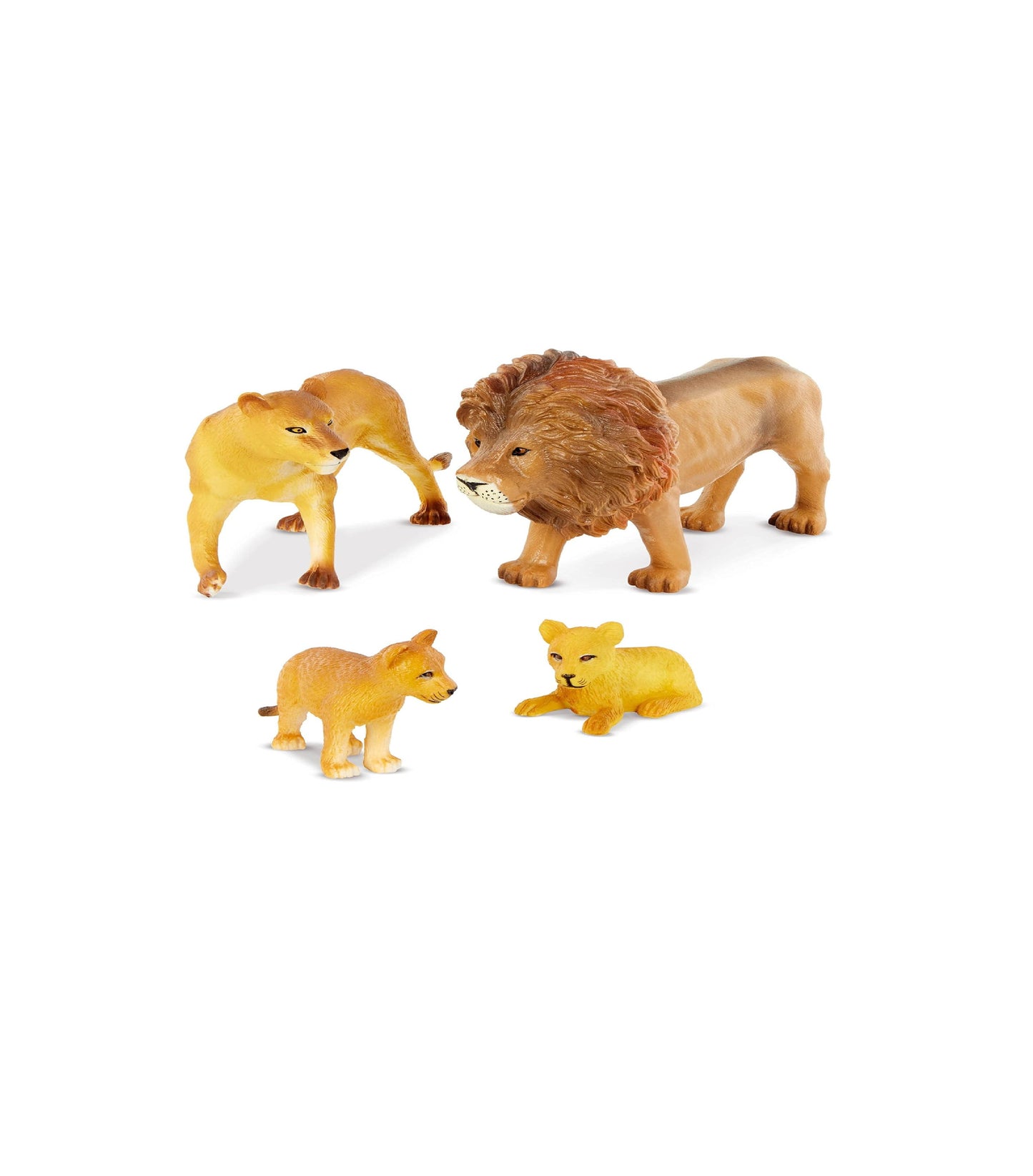 Familia de leones