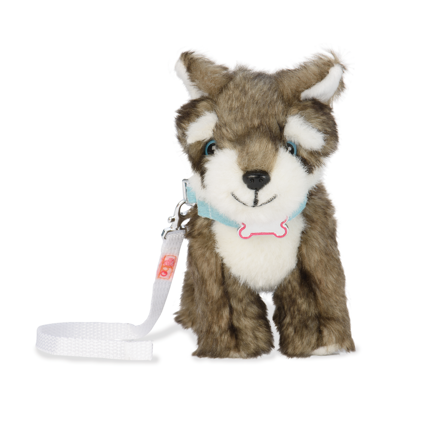 Cachorro Husky