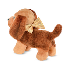 Mascota Perro Hazel