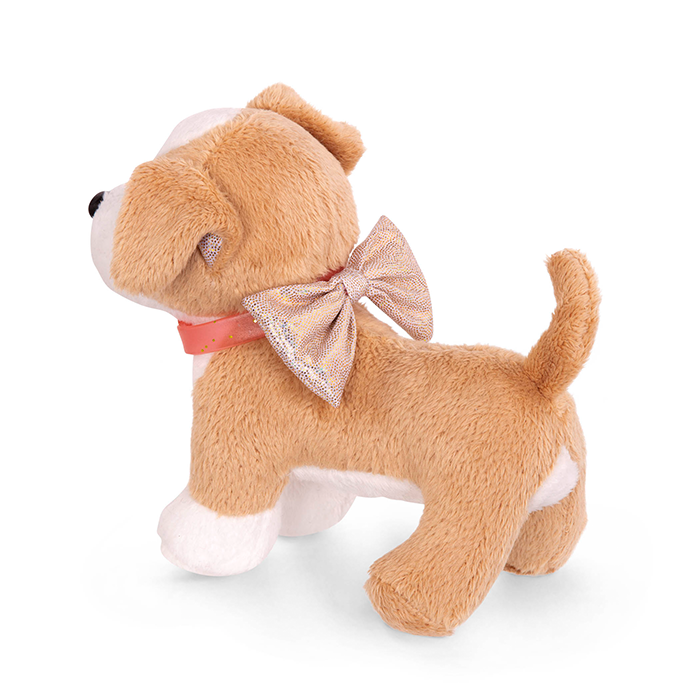 Perro chihuahua Lollie