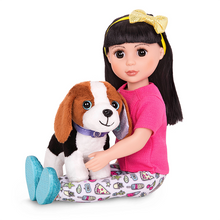 Mascota Perro Bailey
