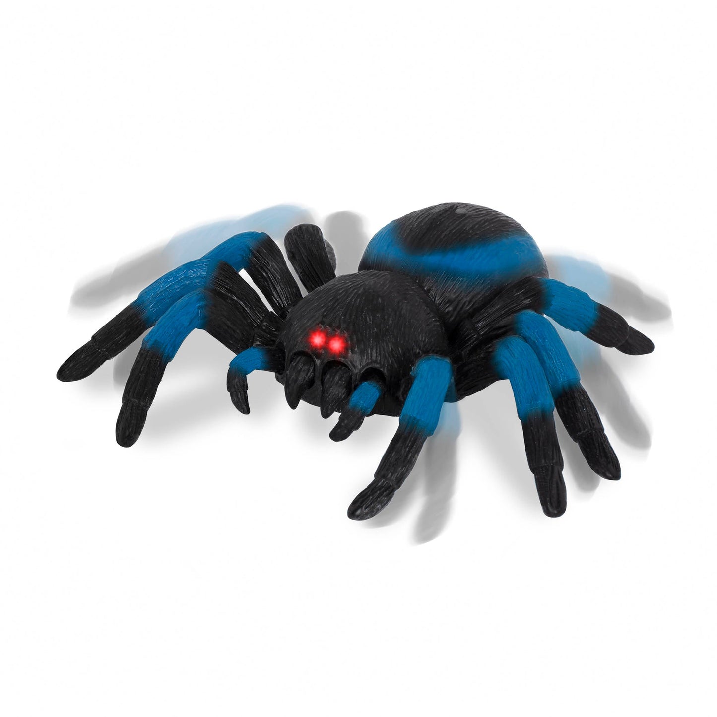 Tarántula - Azul