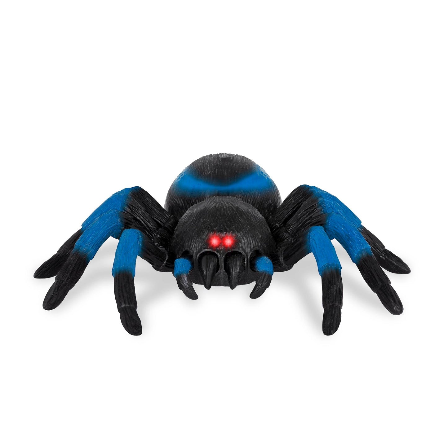 Tarántula - Azul