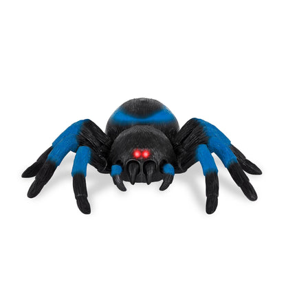 Tarántula - Azul