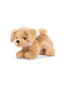 Cachorro Goldendoodle