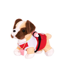 Salvavidas perro