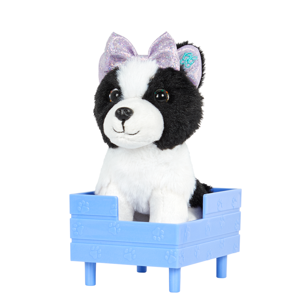 Mascota Perro Ziggy