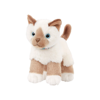 Peluche gatito Birmano