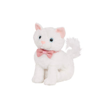 Peluche Gato Angora