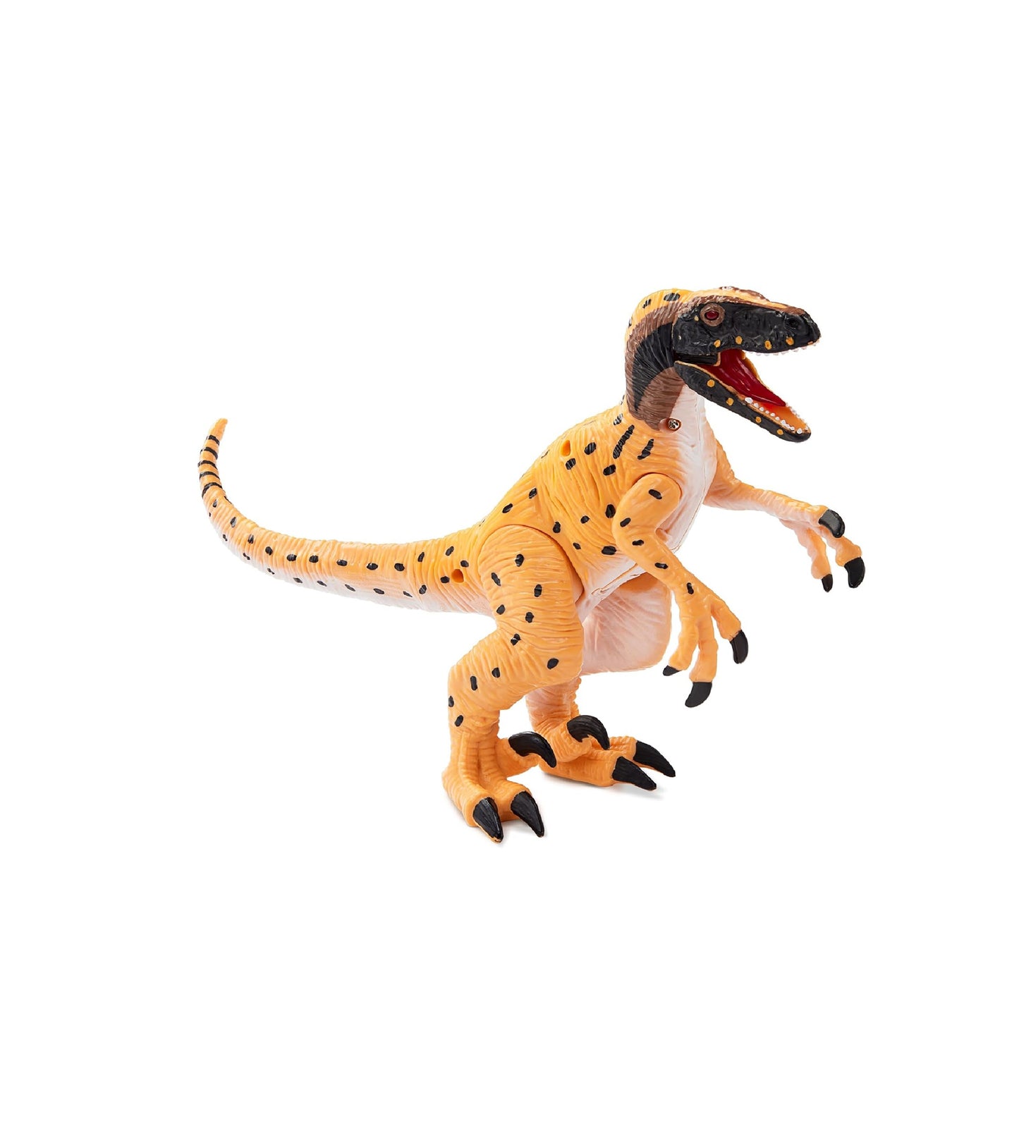Utahraptor - electrónico