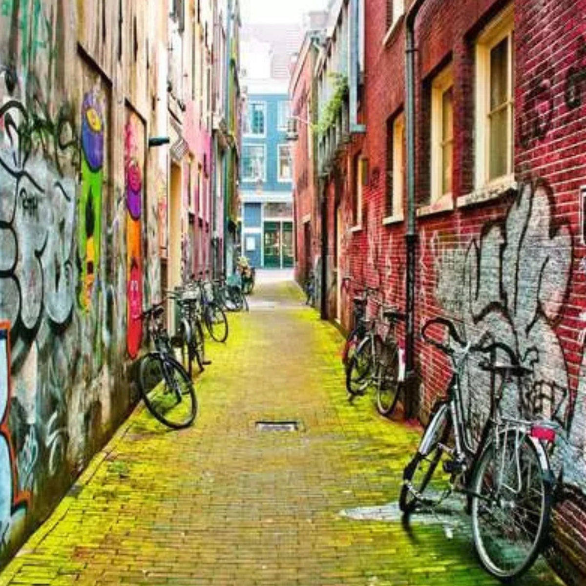 Puzzle Arte Callejero en Ámsterdam - 3000 piezas