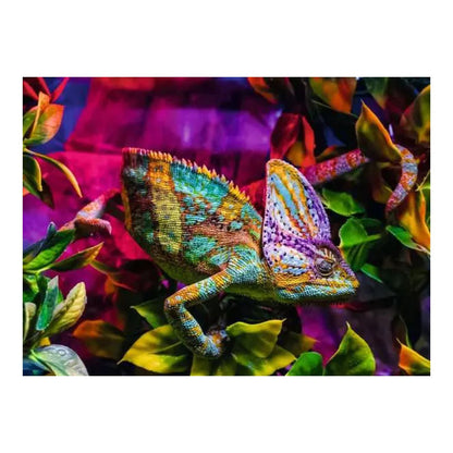 Puzzle Camaleón – 500 piezas