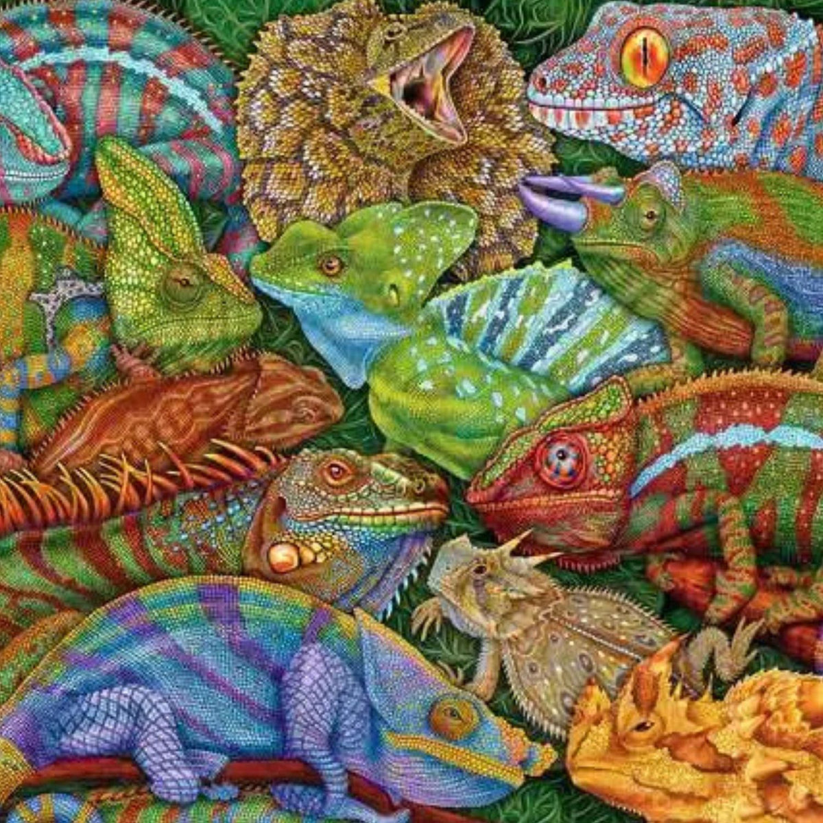 Puzzle Reptiles Fascinantes - 300 piezas XXL