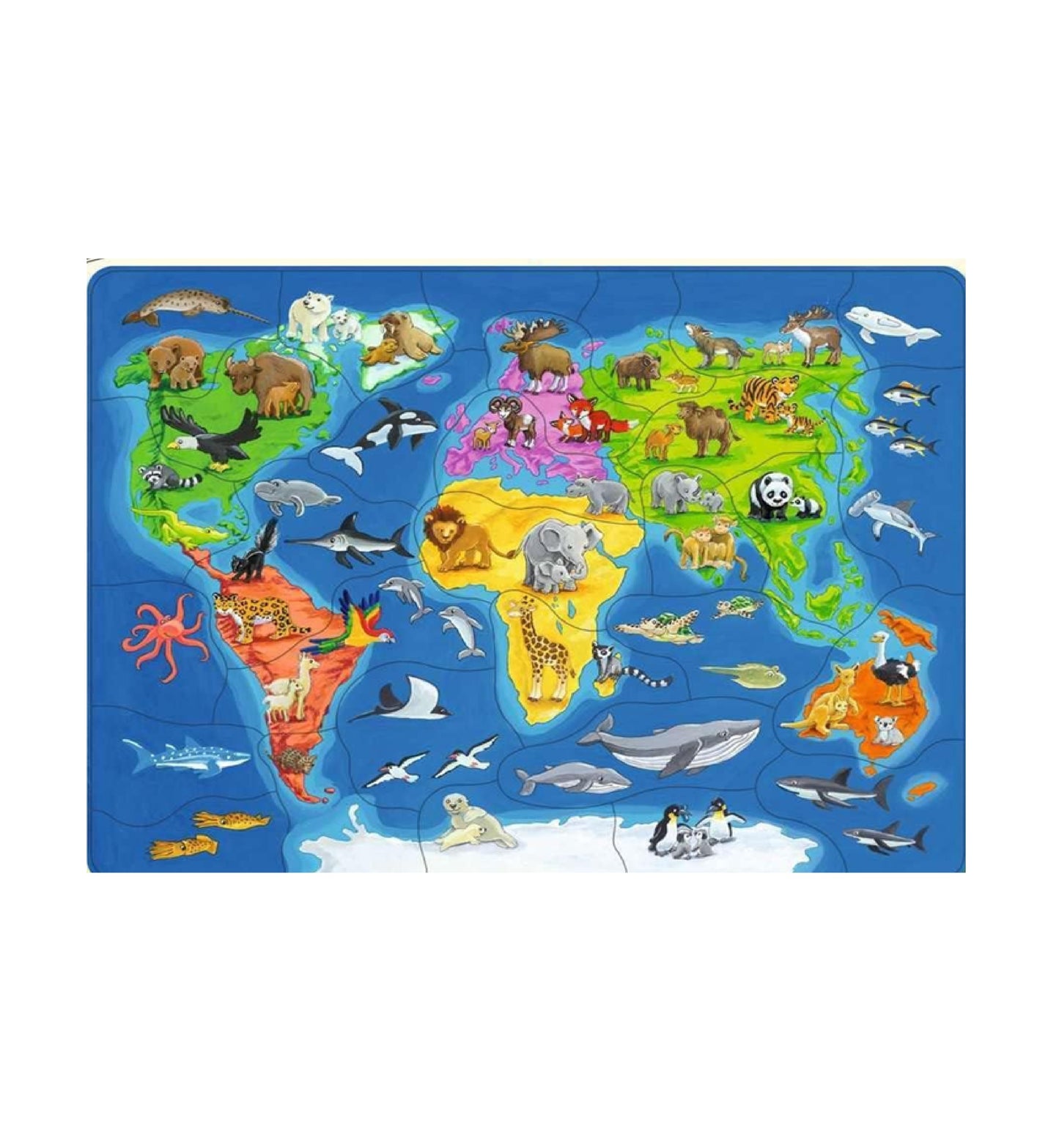 Puzzle enmarcado - Animales del mundo