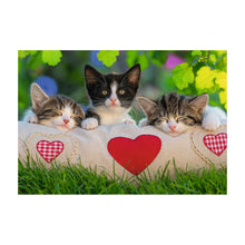 Puzzle Gatos dormilones - 2x24