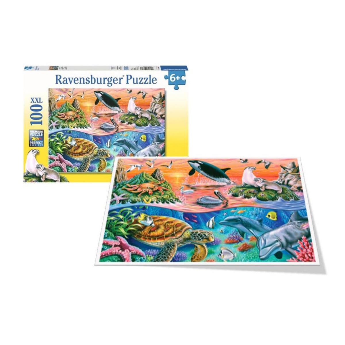 Puzzle Océano Maravilloso - 100 piezas XXL