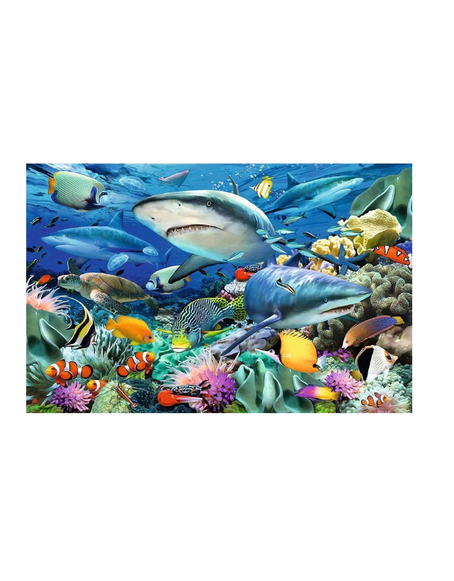Puzzle XXL Arrecife de tiburones - 100 piezas