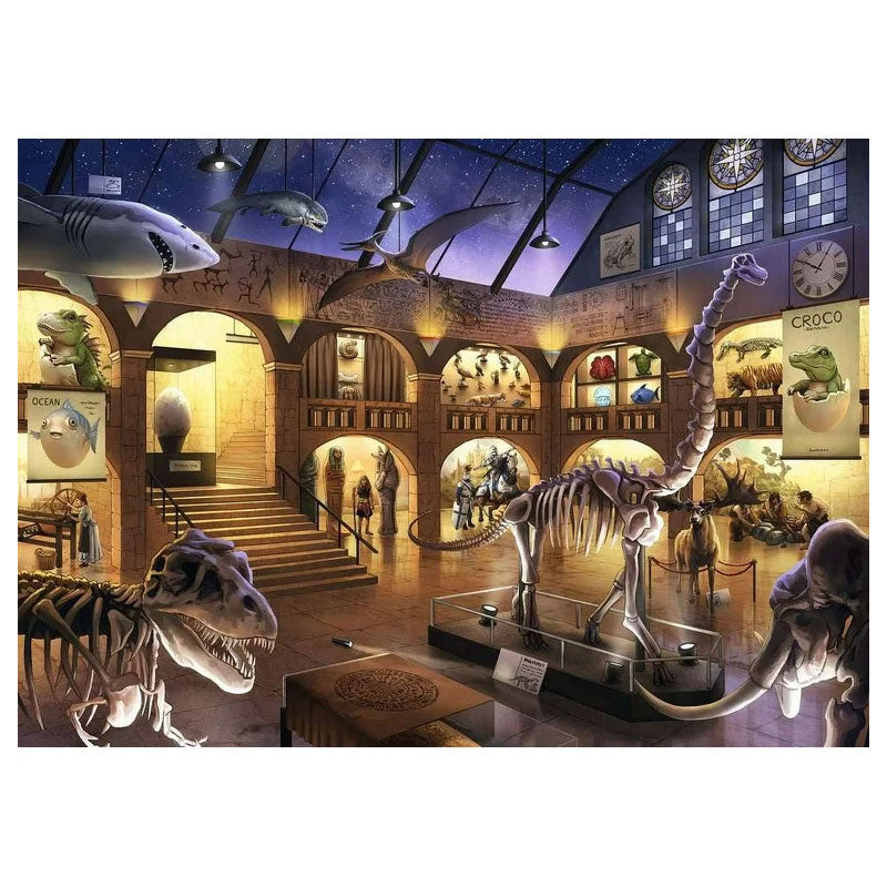 KIDS Museum Mysteries
