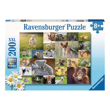 Puzzle Lindos animales Bebes - 200 piezas