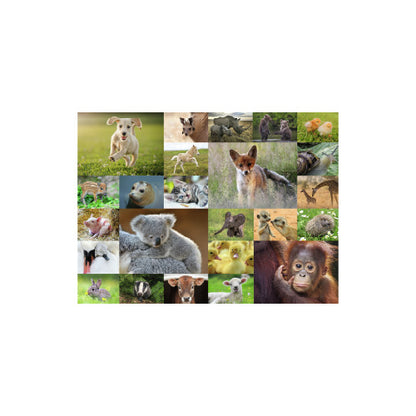 Puzzle Lindos animales Bebes - 200 piezas