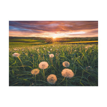 Puzzle Atardecer en Dandelion - 500 piezas