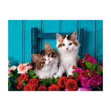 Puzzle Gatos & Rosas - 500 piezas