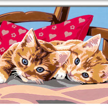 Canvas pinta por número: Gatitos en la Almohada