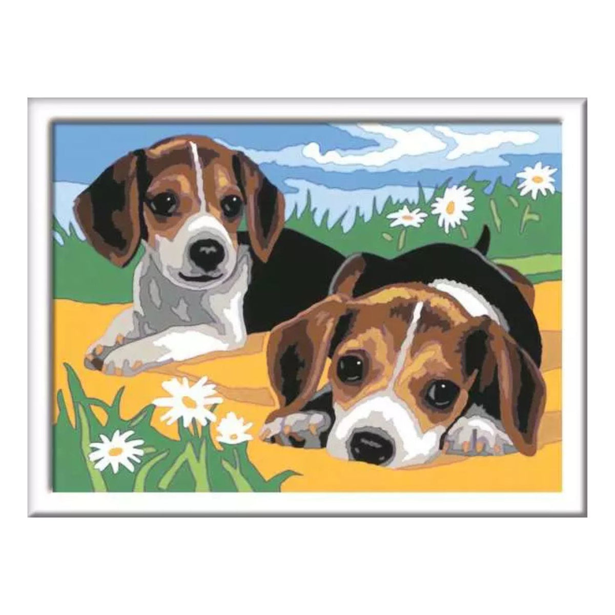 Canvas pinta por número: Cachorros Jack Russell