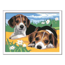 Canvas pinta por número: Cachorros Jack Russell