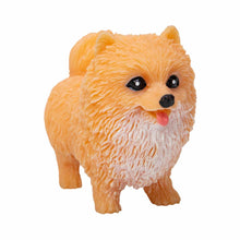 Perrito de bolsillo